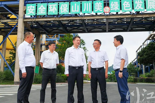 楊林興：把新型工業化擺在更加突出的位置，讓“四化同步”發展的主引擎作用更加凸顯